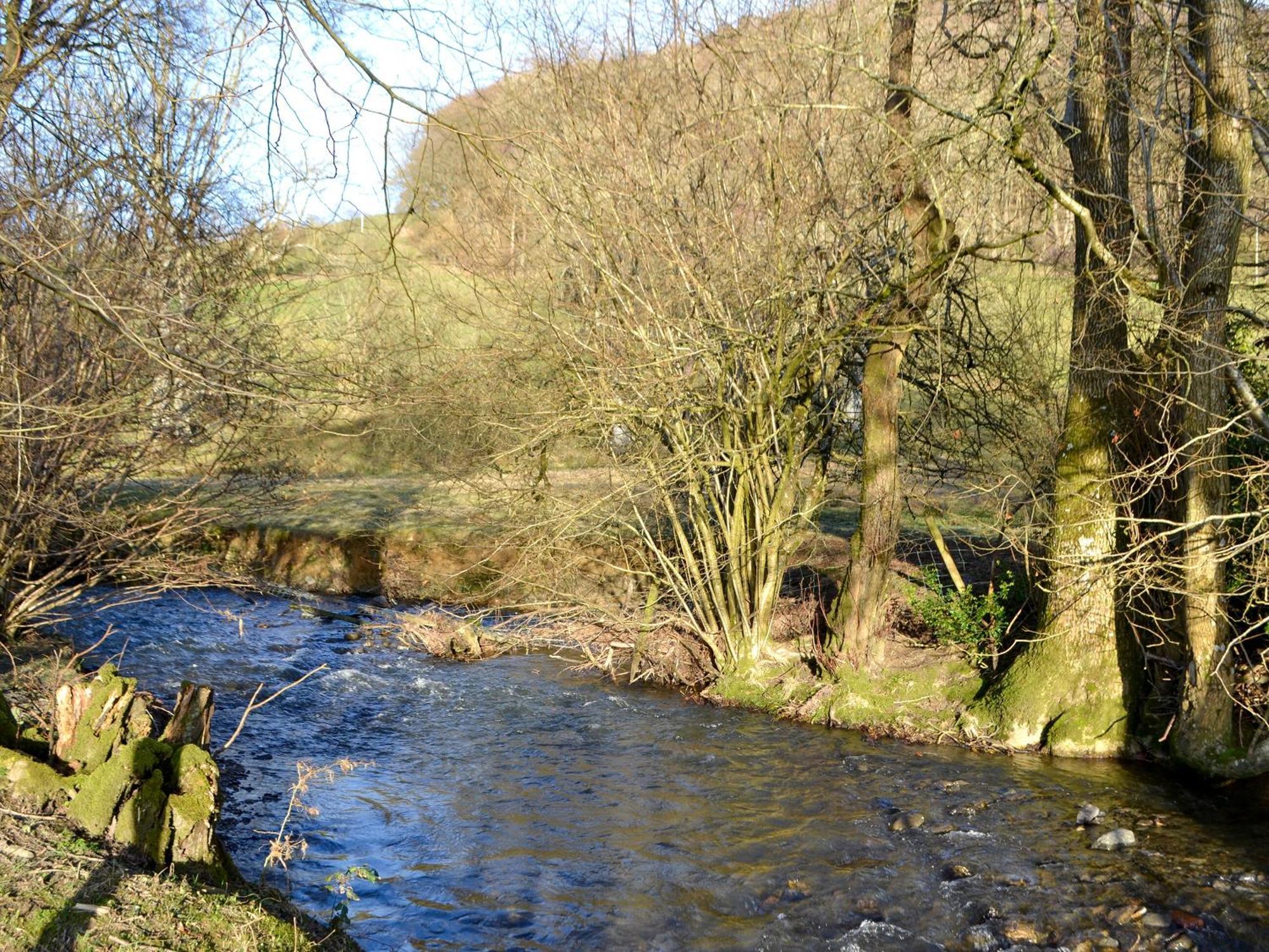 Efyrnwy Pod Vip Villa Llanfyllin Buitenkant foto