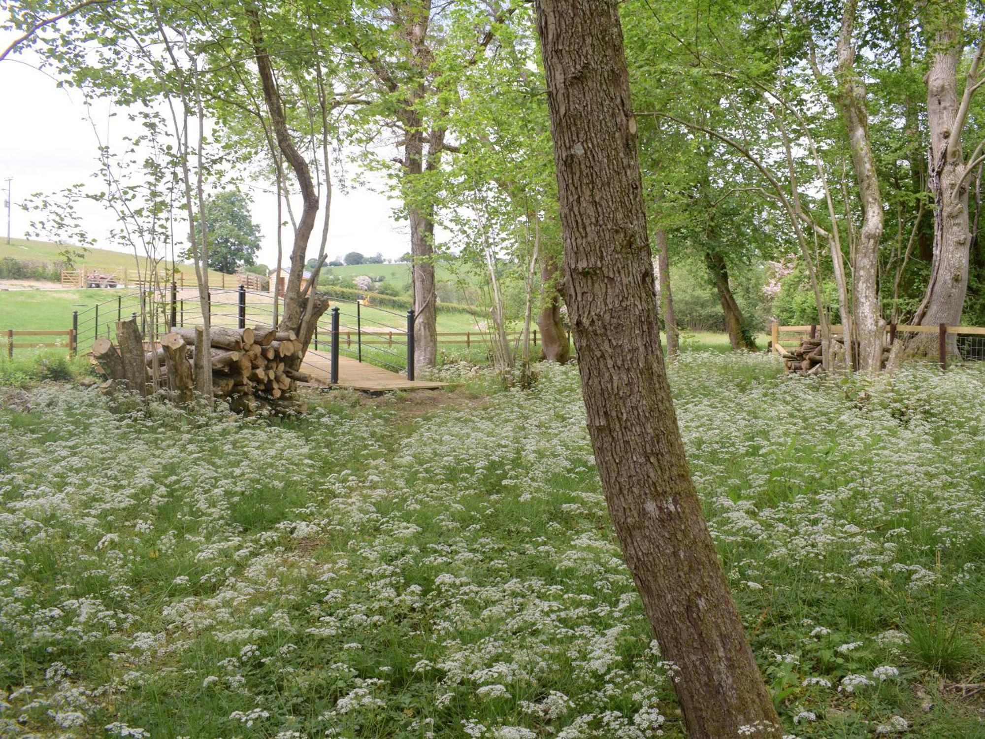 Efyrnwy Pod Vip Villa Llanfyllin Buitenkant foto